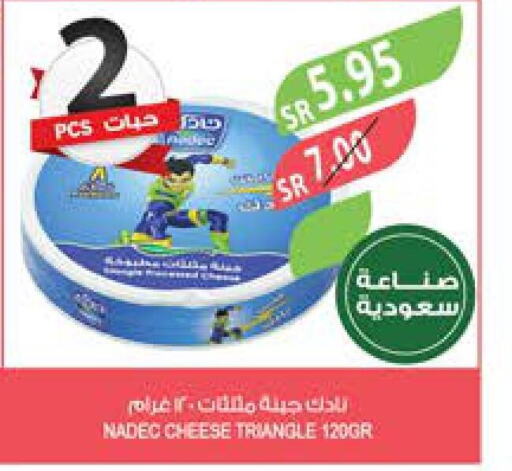 NADEC Triangle Cheese  in المزرعة in مملكة العربية السعودية, السعودية, سعودية - القطيف‎