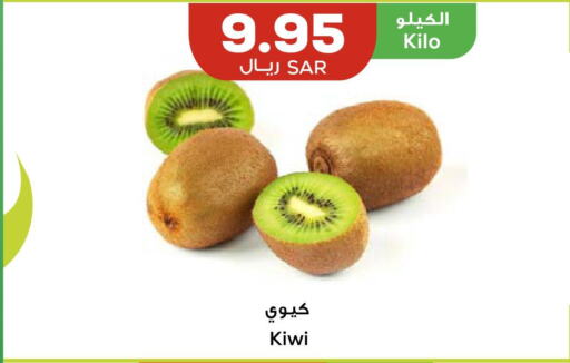  Kiwi  in أسواق أسترا in مملكة العربية السعودية, السعودية, سعودية - تبوك