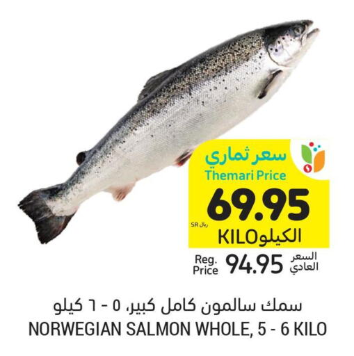  King Fish  in أسواق التميمي in مملكة العربية السعودية, السعودية, سعودية - المنطقة الشرقية