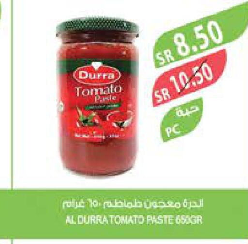 DURRA Tomato Paste  in Farm  in KSA, Saudi Arabia, Saudi - Yanbu