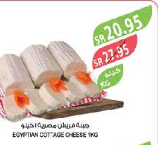  Cottage Cheese  in المزرعة in مملكة العربية السعودية, السعودية, سعودية - الجبيل‎