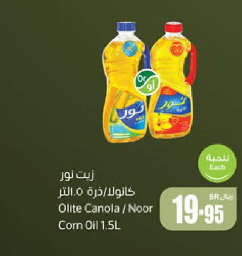 NOOR Canola Oil  in Othaim Markets in KSA, Saudi Arabia, Saudi - Arar