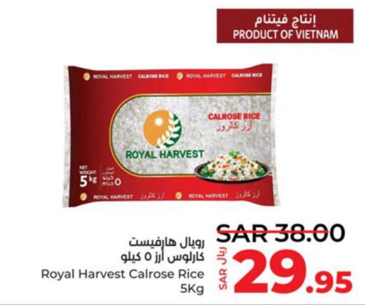  Egyptian / Calrose Rice  in LULU Hypermarket in KSA, Saudi Arabia, Saudi - Tabuk