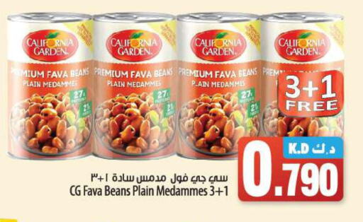 CALIFORNIA Fava Beans  in مانجو هايبرماركت in الكويت - محافظة الجهراء