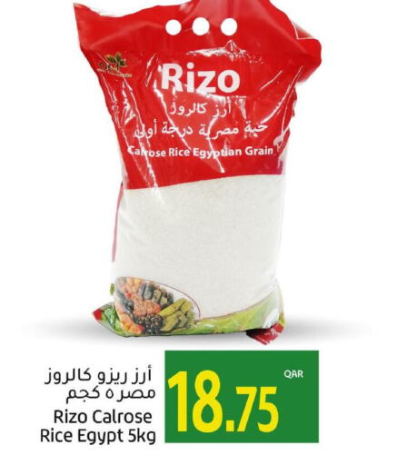  Egyptian / Calrose Rice  in جلف فود سنتر in قطر - الشمال