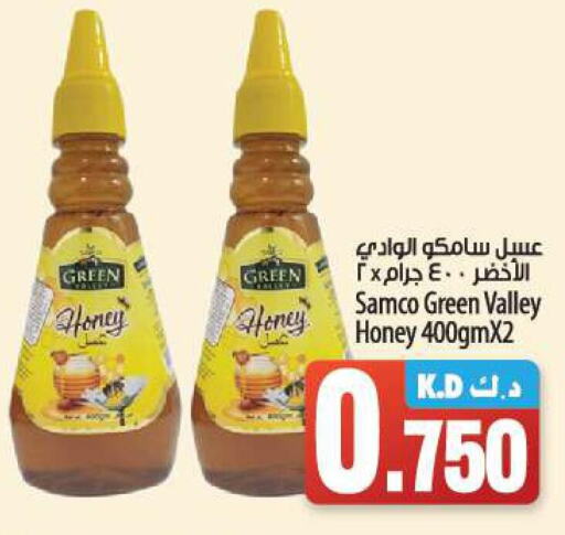  Honey  in Mango Hypermarket  in Kuwait - Kuwait City