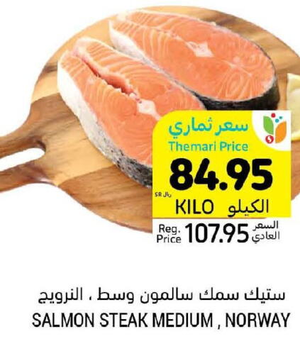  Tuna  in أسواق التميمي in مملكة العربية السعودية, السعودية, سعودية - الجبيل‎