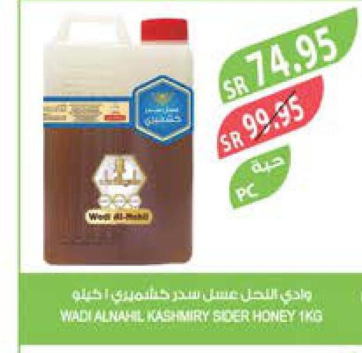  Honey  in المزرعة in مملكة العربية السعودية, السعودية, سعودية - ينبع