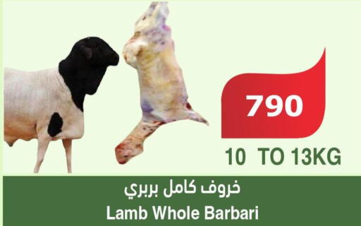 Mutton / Lamb  in Al Raya in KSA, Saudi Arabia, Saudi - Ta'if