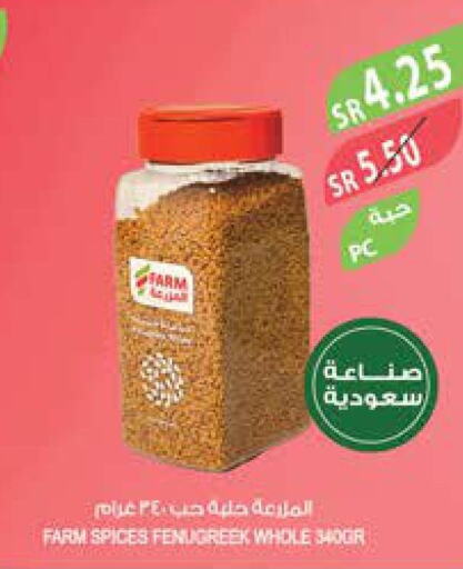  Spices / Masala  in Farm  in KSA, Saudi Arabia, Saudi - Saihat