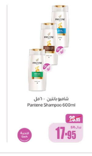 PANTENE Shampoo / Conditioner  in Othaim Markets in KSA, Saudi Arabia, Saudi - Hafar Al Batin