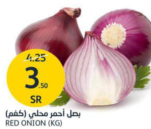  Onion  in AlJazera Shopping Center in KSA, Saudi Arabia, Saudi - Riyadh