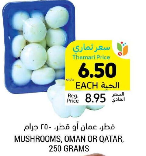  Mushroom  in أسواق التميمي in مملكة العربية السعودية, السعودية, سعودية - عنيزة