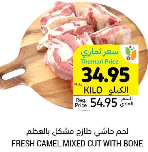  Camel meat  in Tamimi Market in KSA, Saudi Arabia, Saudi - Tabuk