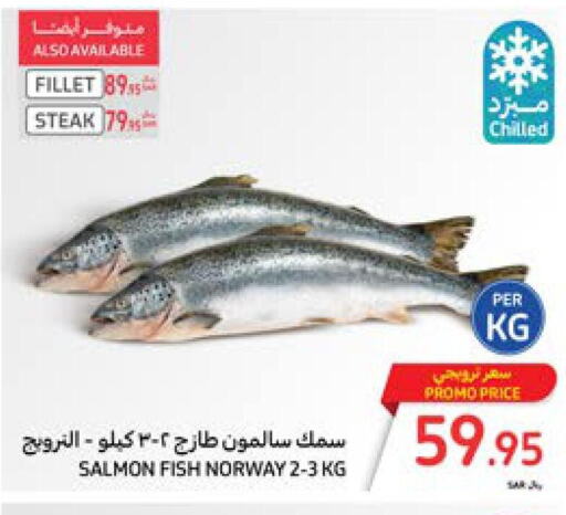  Tuna  in Carrefour in KSA, Saudi Arabia, Saudi - Al Khobar