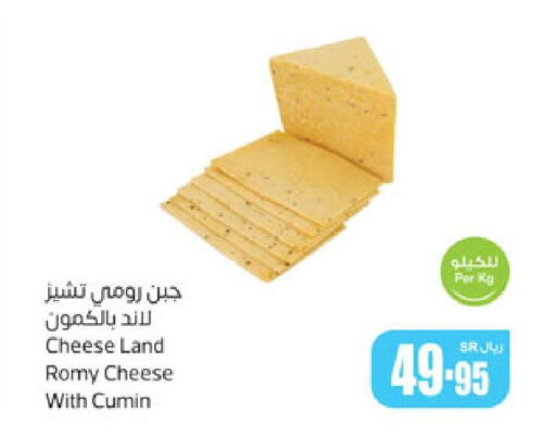  Roumy Cheese  in أسواق عبد الله العثيم in مملكة العربية السعودية, السعودية, سعودية - عنيزة