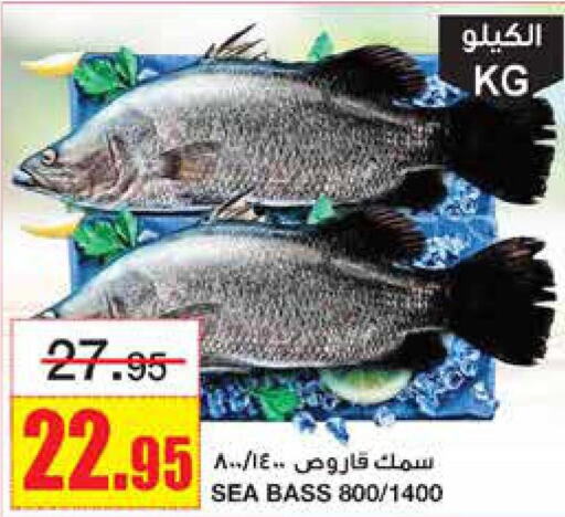  King Fish  in Al Sadhan Stores in KSA, Saudi Arabia, Saudi - Riyadh
