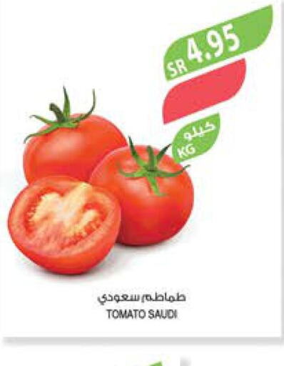  Tomato  in المزرعة in مملكة العربية السعودية, السعودية, سعودية - الأحساء‎