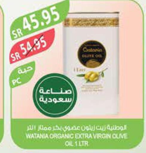  Extra Virgin Olive Oil  in Farm  in KSA, Saudi Arabia, Saudi - Al-Kharj