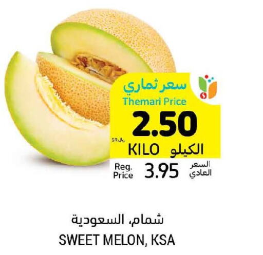  Sweet melon  in أسواق التميمي in مملكة العربية السعودية, السعودية, سعودية - الخبر‎