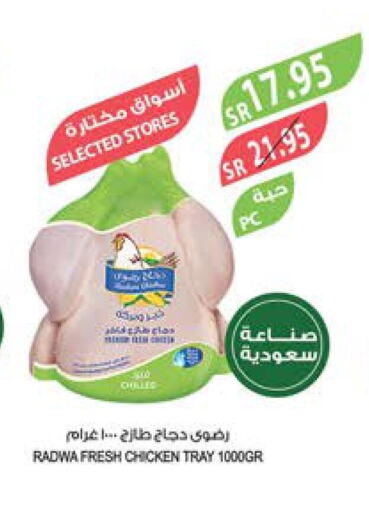  Fresh Chicken  in Farm  in KSA, Saudi Arabia, Saudi - Khafji