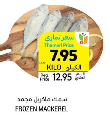 King Fish  in أسواق التميمي in مملكة العربية السعودية, السعودية, سعودية - المدينة المنورة