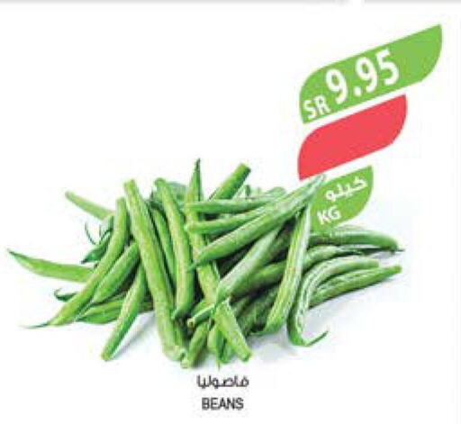  Beans  in Farm  in KSA, Saudi Arabia, Saudi - Qatif