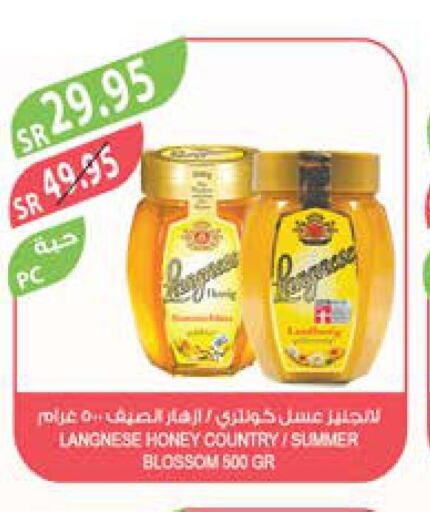  Honey  in المزرعة in مملكة العربية السعودية, السعودية, سعودية - الخفجي