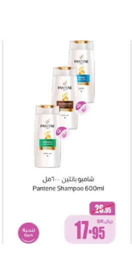 PANTENE Shampoo / Conditioner  in Othaim Markets in KSA, Saudi Arabia, Saudi - Medina