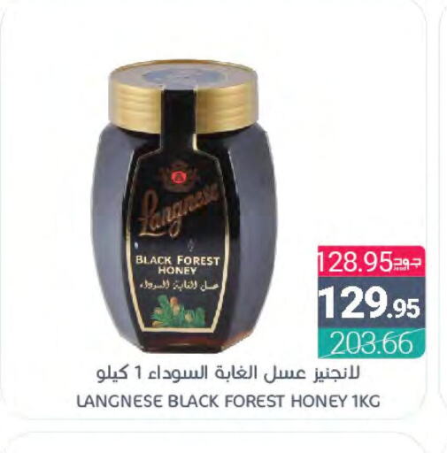  Honey  in Muntazah Markets in KSA, Saudi Arabia, Saudi - Qatif