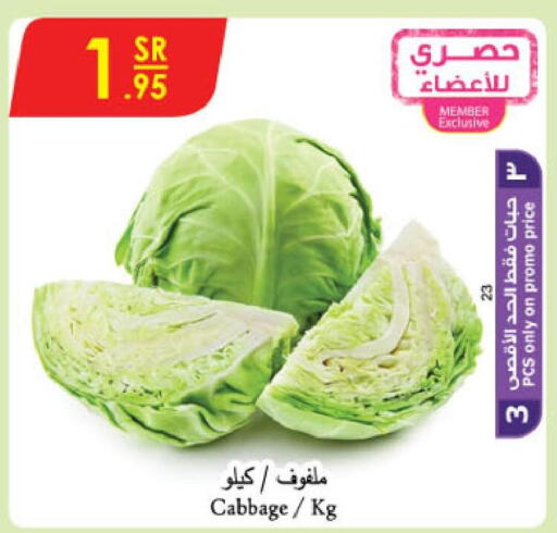  Cabbage  in Danube in KSA, Saudi Arabia, Saudi - Jazan