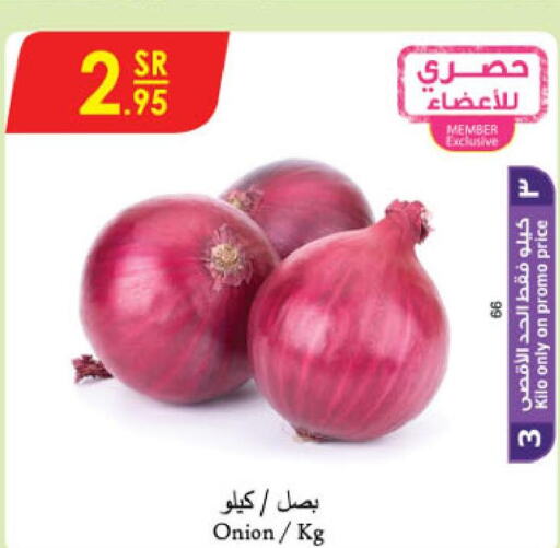  Onion  in Danube in KSA, Saudi Arabia, Saudi - Jeddah