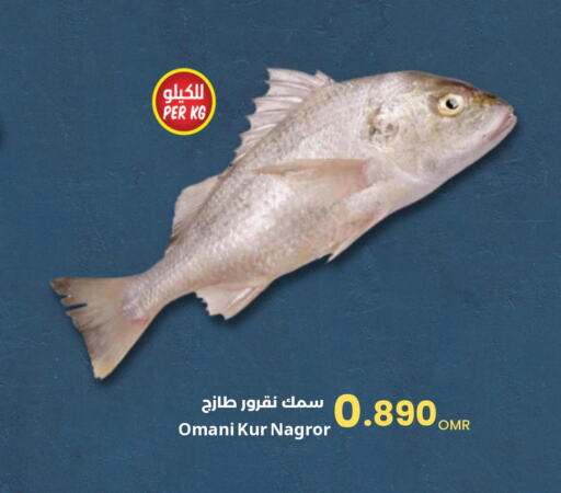  King Fish  in مركز سلطان in عُمان - مسقط‎