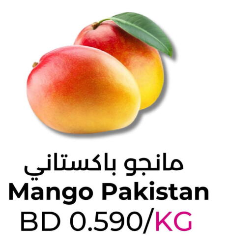  Mango  in رويان ماركت in البحرين