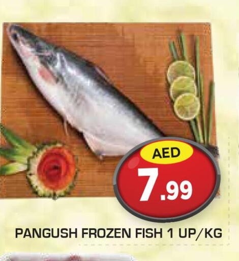  King Fish  in Baniyas Spike  in UAE - Ras al Khaimah