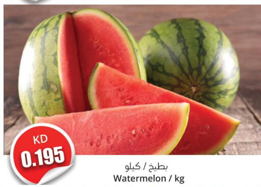  Watermelon  in 4 سيفمارت in الكويت - مدينة الكويت