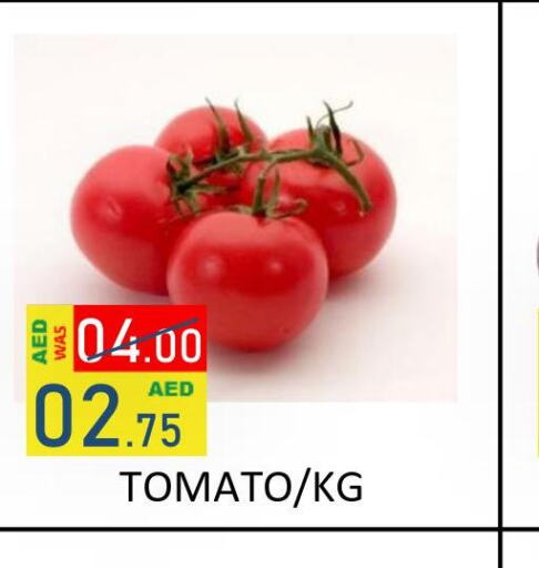  Tomato  in رويال جلف هايبرماركت in الإمارات العربية المتحدة , الامارات - أبو ظبي