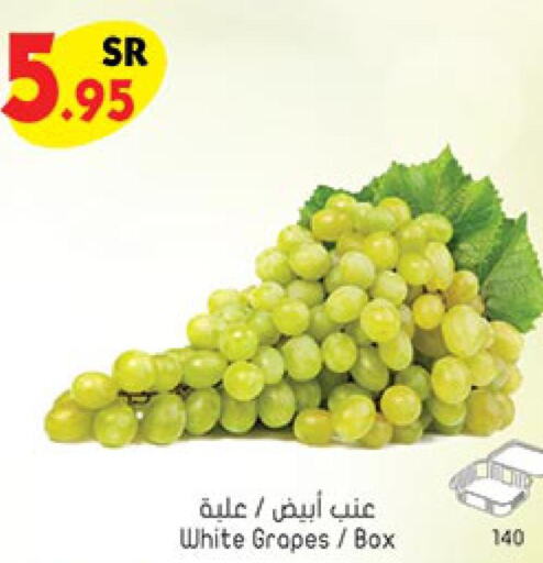  Grapes  in بن داود in مملكة العربية السعودية, السعودية, سعودية - الطائف