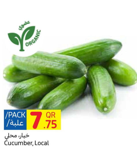  Cucumber  in كارفور in قطر - الخور