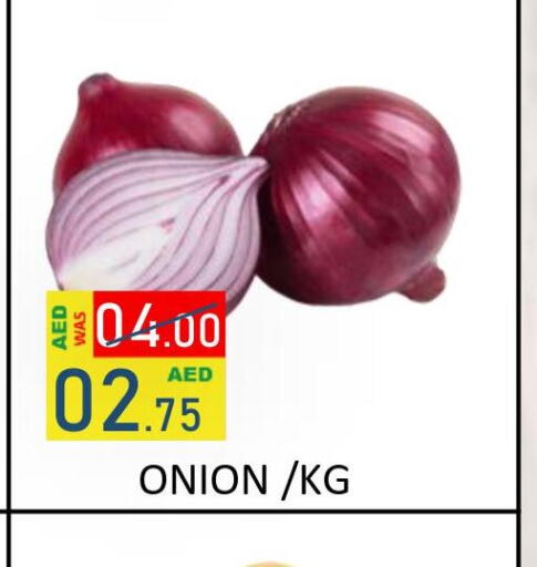  Onion  in ROYAL GULF HYPERMARKET LLC in UAE - Abu Dhabi