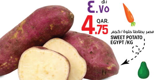  Sweet Potato  in السعودية in قطر - الريان