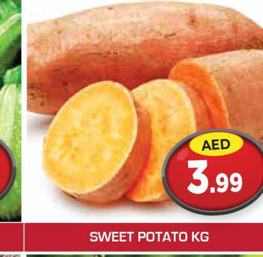  Sweet Potato  in سنابل بني ياس in الإمارات العربية المتحدة , الامارات - رَأْس ٱلْخَيْمَة