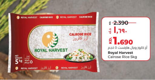  Egyptian / Calrose Rice  in Lulu Hypermarket  in Kuwait - Kuwait City