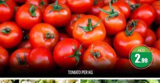 Tomato  in بيج مارت in الإمارات العربية المتحدة , الامارات - أبو ظبي