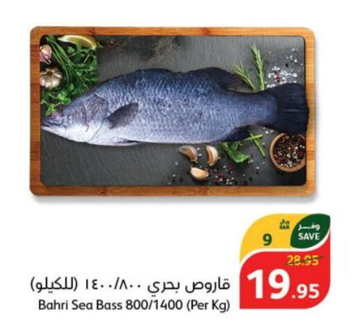  King Fish  in هايبر بنده in مملكة العربية السعودية, السعودية, سعودية - المجمعة