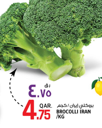  Broccoli  in السعودية in قطر - الريان