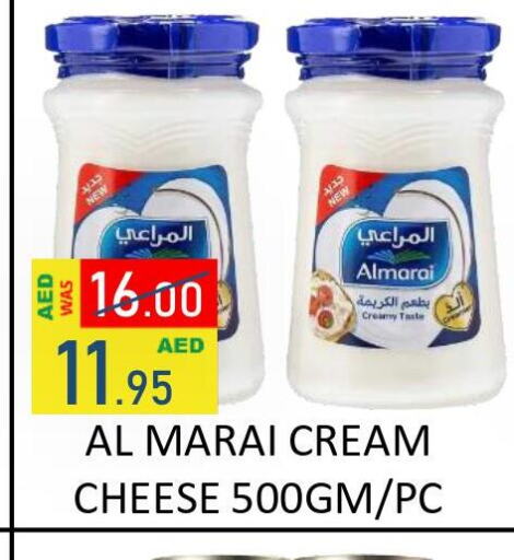 ALMARAI Cream Cheese  in رويال جلف هايبرماركت in الإمارات العربية المتحدة , الامارات - أبو ظبي