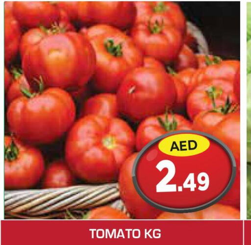 Tomato  in سنابل بني ياس in الإمارات العربية المتحدة , الامارات - رَأْس ٱلْخَيْمَة