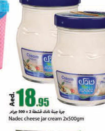 NADEC Cream Cheese  in  روابي ماركت عجمان in الإمارات العربية المتحدة , الامارات - الشارقة / عجمان