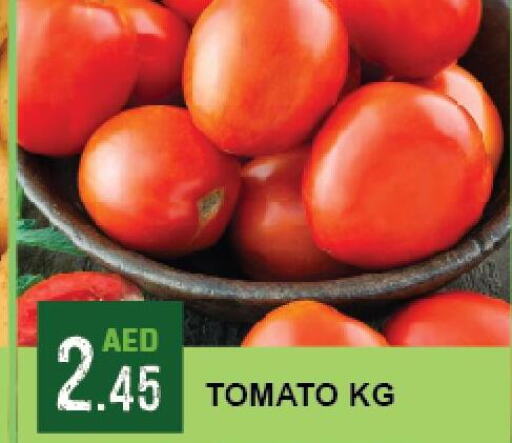  Tomato  in أزهر المدينة هايبرماركت in الإمارات العربية المتحدة , الامارات - أبو ظبي